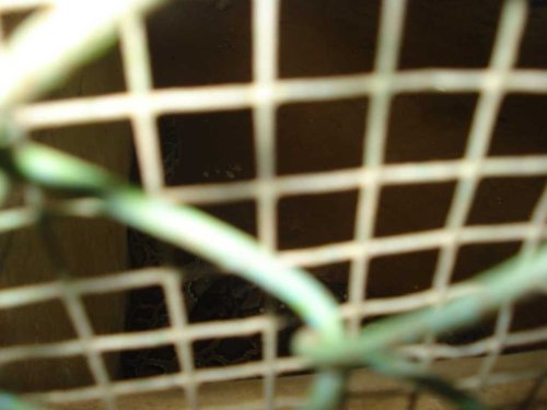 DSC03800_1